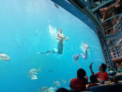 -瑞德姆美人鱼海底演艺主题餐厅(亚龙湾店)