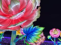 -国际非物质文化遗产博览园