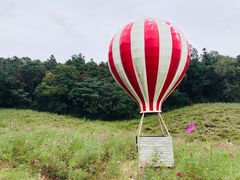 -大塘金香草谷