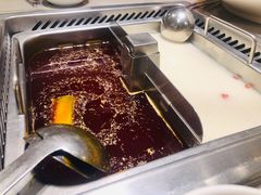 牛油猪肚鸡锅底-海底捞火锅(铂澜大象城店)