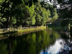 -云南屏边大围山国家公园