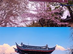 -鸡鸣寺