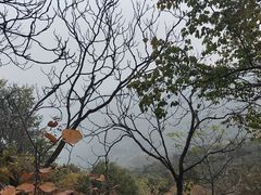 -香山公园