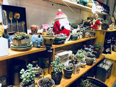 -84那年咖啡馆(李沧万达店)