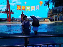 -三亚海昌梦幻海洋不夜城