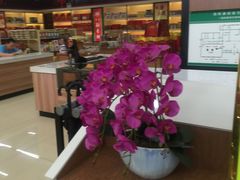 -窦店服务区-停车场