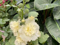 -华南国家植物园-售票处