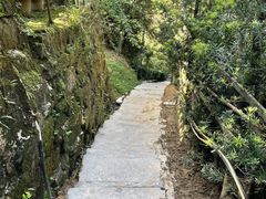 -南山植物园
