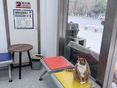-四月宠物医院·猫专科·心脏专科·内科(转塘店)