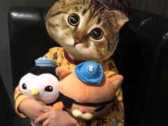 -半秋山西餐厅(巴南万达广场店)