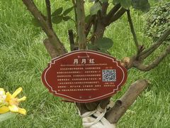 -抱龙峪