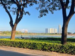 -三亚海棠湾喜来登度假酒店