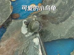 -童学园幼儿园(良庄西街)