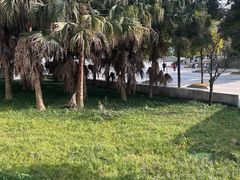 -李白纪念馆