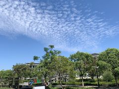 -上海海洋大学(临港校区)