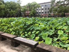 -四川大学(望江校区)