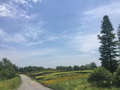 -梁鸿国家湿地公园