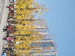 -百林公园-两江幸福广场