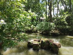 -上海醉白池公园