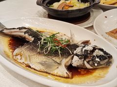 -东方御宴海鲜酒楼(棕泉酒店)