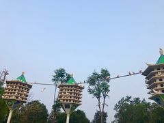 -南昌之星游乐场