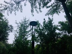 -唐城墙遗址公园
