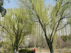 -白塘生态植物园