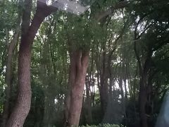 -同里国家湿地公园