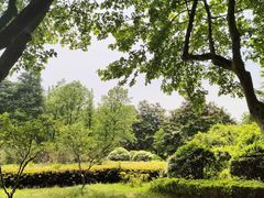 -宜兴龙背山森林公园