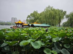 -济南大明湖景区