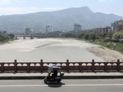 -老字号怡玺·藿香雅鱼(20年雅安店)