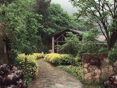 -远山有窑
