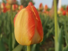 -长春公园(普阳街道)