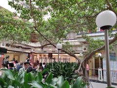 -广州酒家(文昌总店)