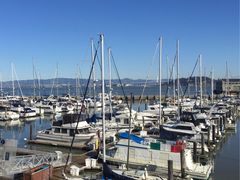 -Swiss Louis Italian & Seafood Restaurant