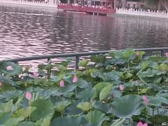 -后海公园