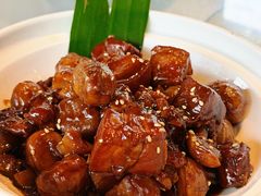-京北渔家傲