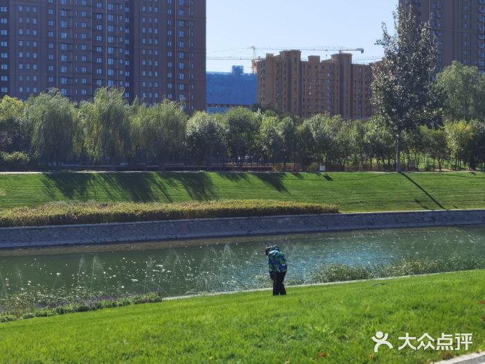 坝河休闲公园图片