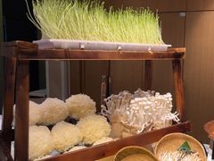 -凯菲厅海鲜姿造·海鲜自助·帝王蟹·龙虾(成都群光君悦酒店)