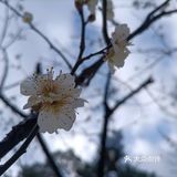 太热乎了招牌手工粉更Q 附近是西湖和河坊街
