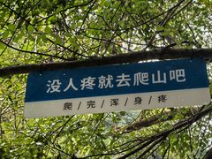-石台牯牛降景区