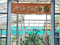 -广东茂名森林公园