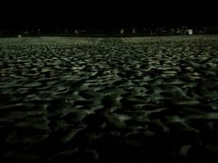 -仰口沙滩