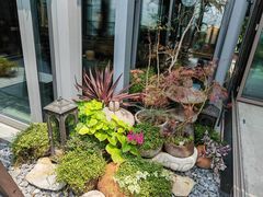 -川旺角川粤融合菜•海景餐厅(星海广场店)