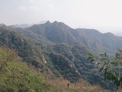 -大岭沟猕猴桃谷风景区