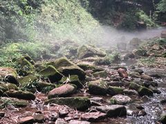 -川西竹海景区