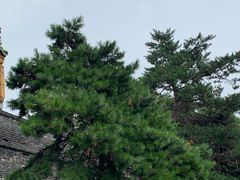 -北陵公园