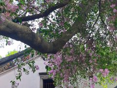 -深圳国际园林花卉博览园