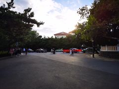 -八大关景区