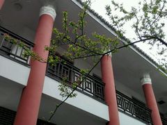 -四川农业大学(雅安校区)